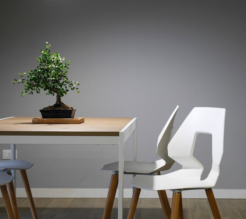 Indoor Green Walls